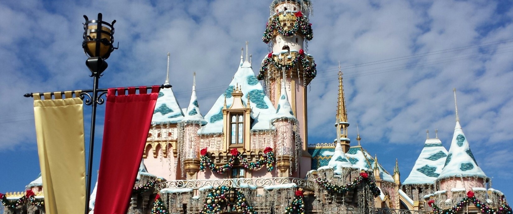 Disneyland Theme Park