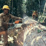 Logging Worker