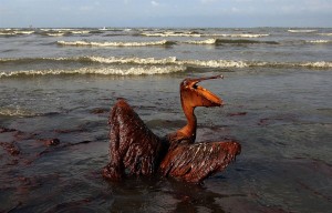 BP Oil Spill