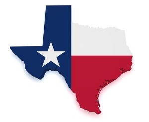 Texas State Flag