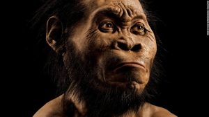 Homo naledi