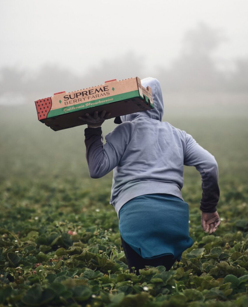 person in gray hoodie holding green and brown carton