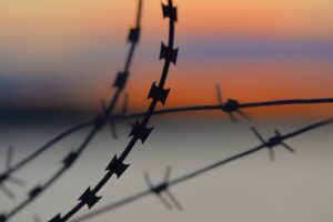 silhouette of barbwire during sunset