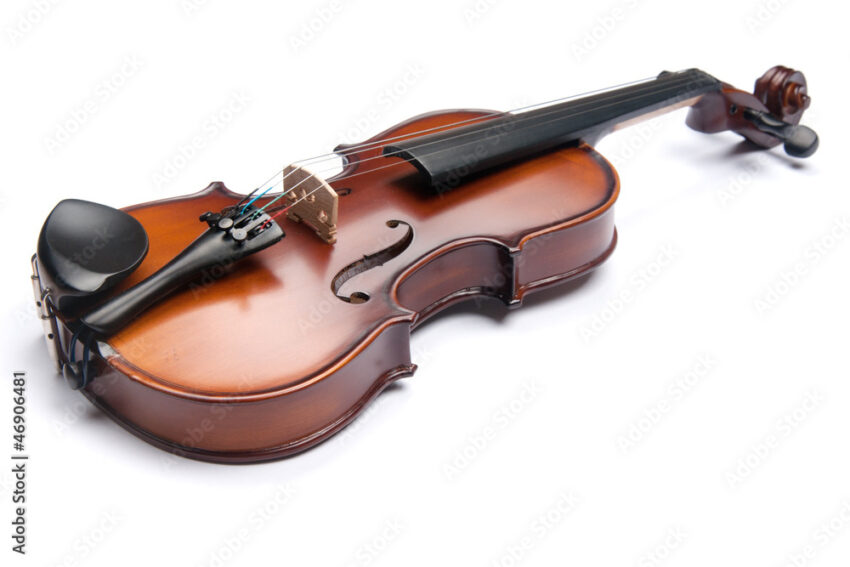 violin