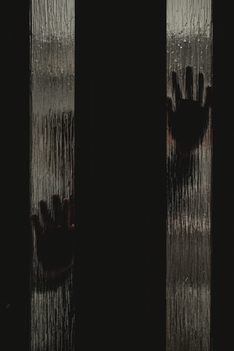 brown wooden fence with white background